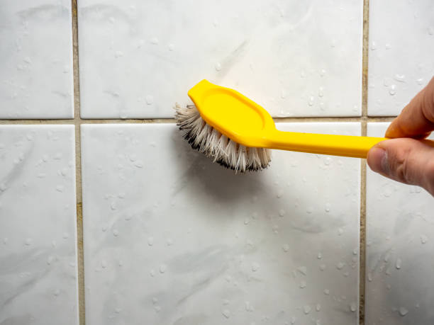 Best Professional Mold Removal  in Bamberg, SC