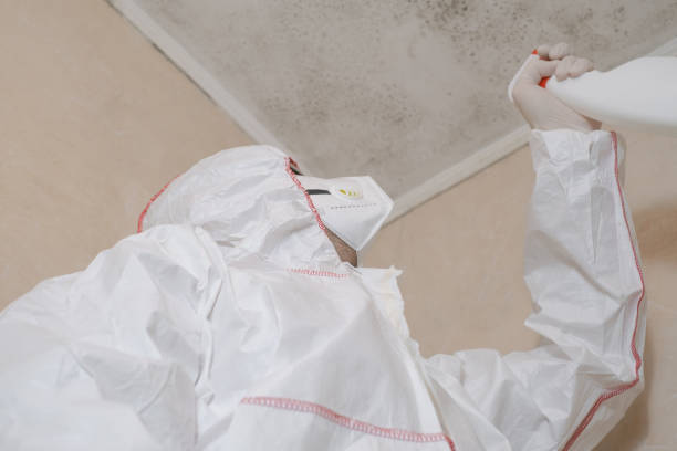 Best Crawl Space Mold Removal  in Bamberg, SC